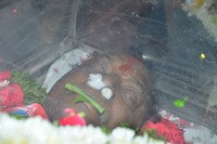 Celebs Pay Homage To Gundu Hanumantha Rao Photos